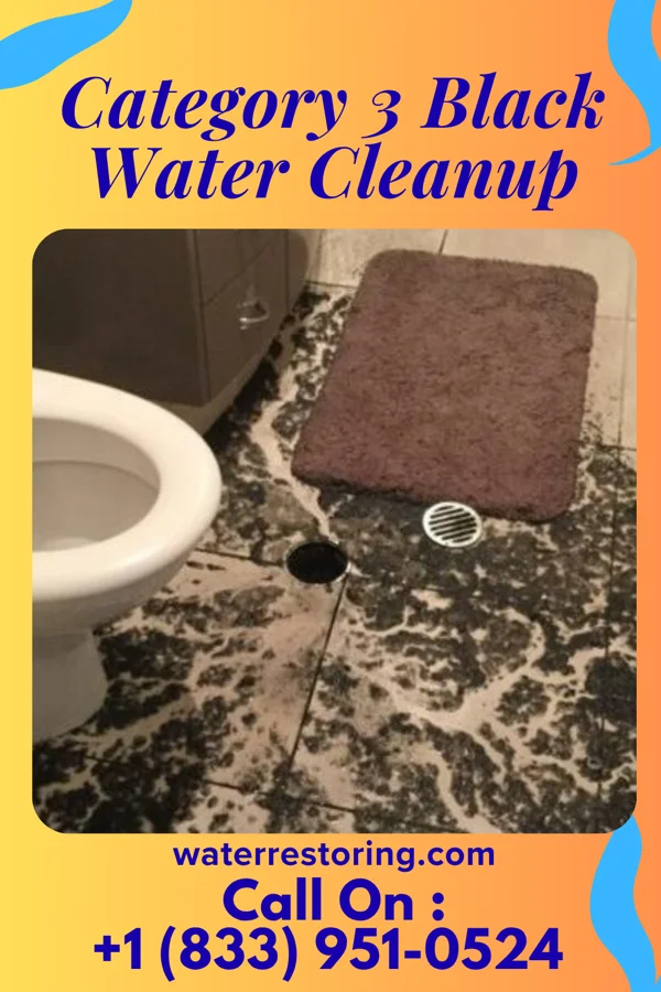Category 3 Black Water Cleanup in McCallsburg, IA