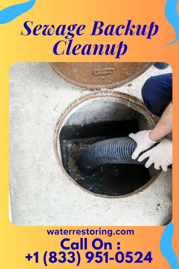 Sewage Backup Cleanup in McCallsburg, IA